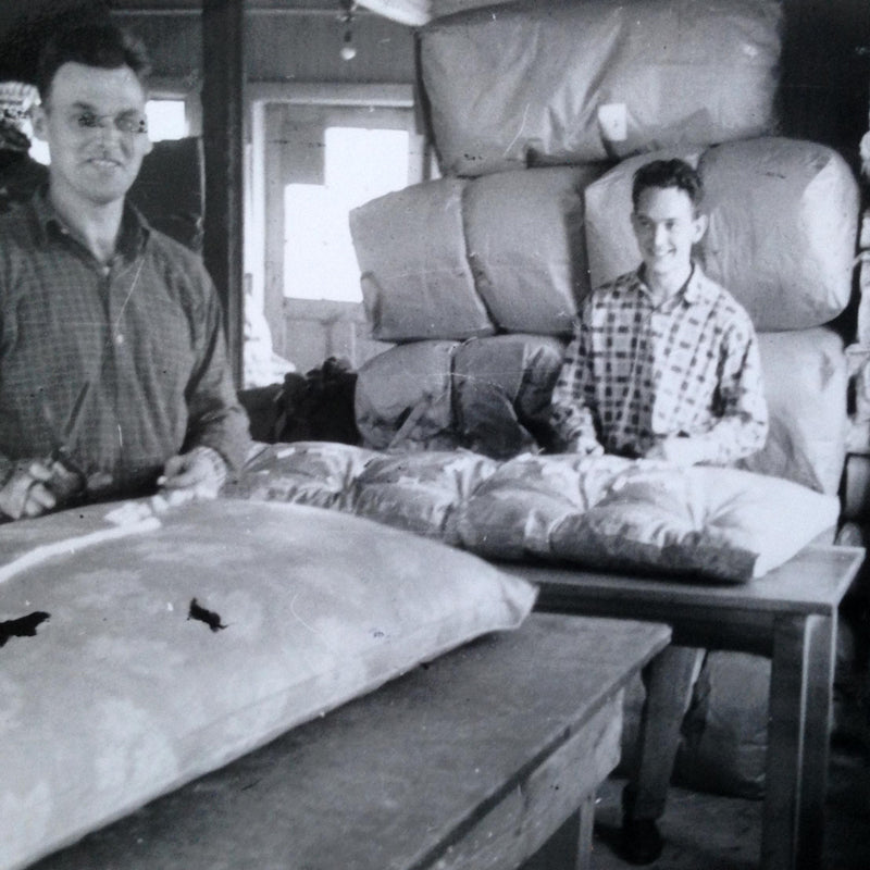 ANEMON XL Stor kudde 65x90cm | Värnamo of Sweden