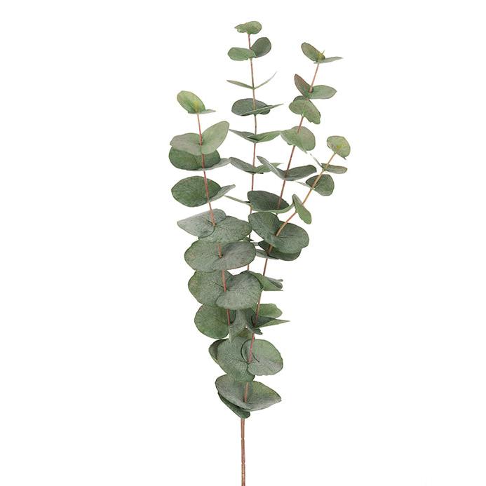 EUCALYPTUS Kvist 60 cm, konstgjord växt | Mr Plant