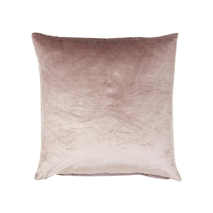 MR PLANT Pascal, Lila 50cm