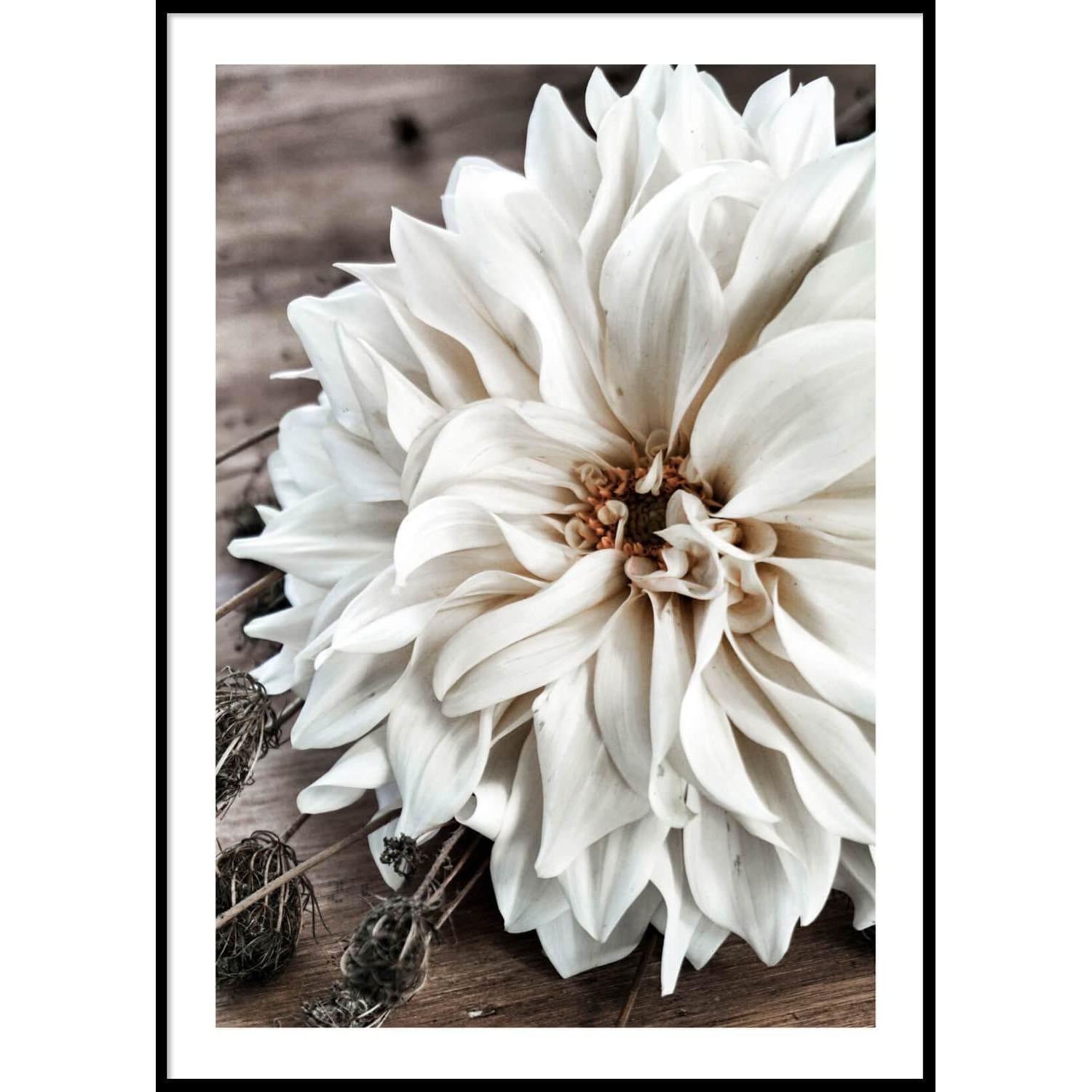 BIG WHITE FLOWER Poster 50x70 cm | Papertown