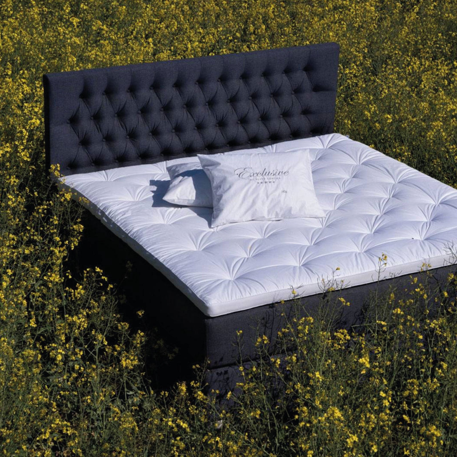 EXCLUSIVE Kontinental