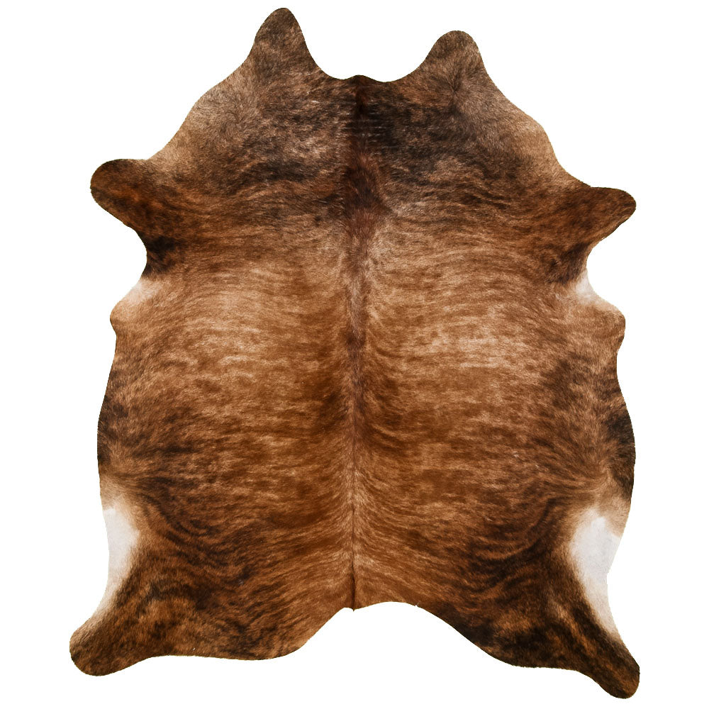 EXOTIC Kohud/Matta