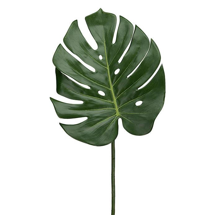 MR PLANT Blad, 60cm 2st