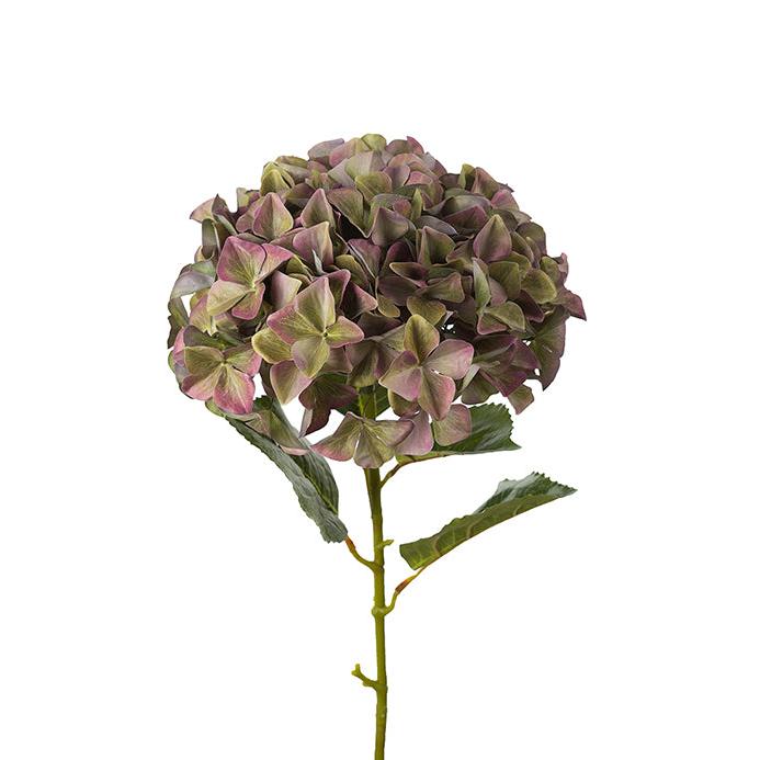 MR PLANT Hortensia, Grön 110cm