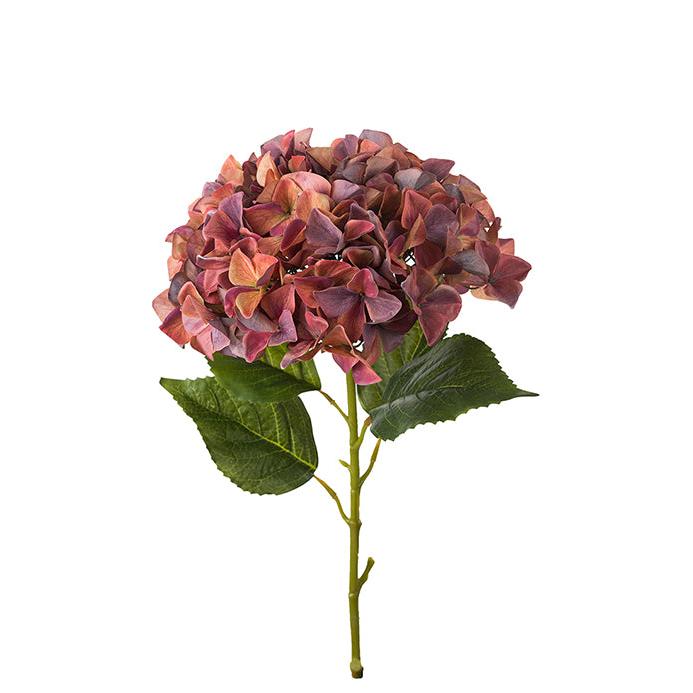 MR PLANT Hortensia, Vinröd 110cm