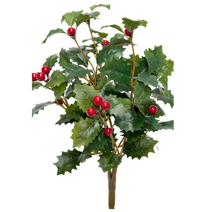 MR PLANT Järnek, 30cm